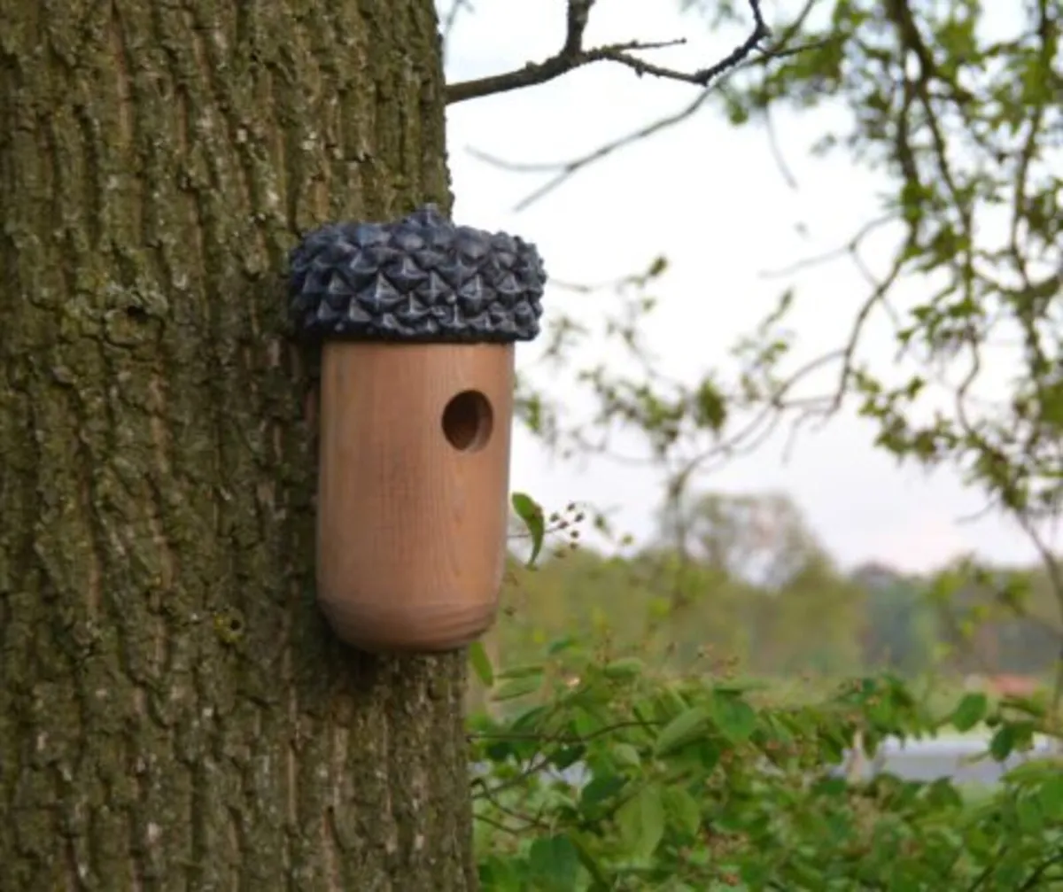 Acorn nesting box - Image 1