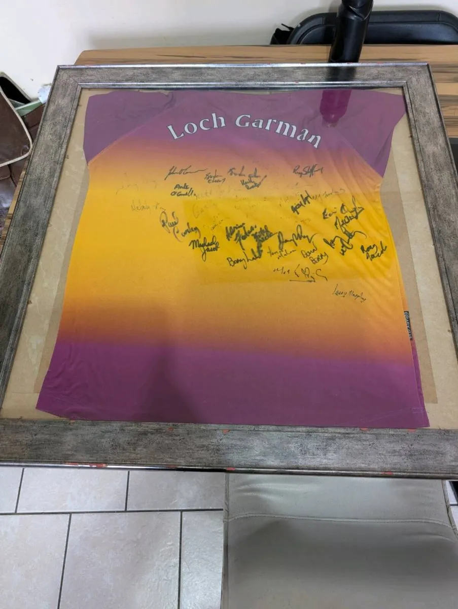 Signed framed 2004leinster champions wexford GAA - Image 1