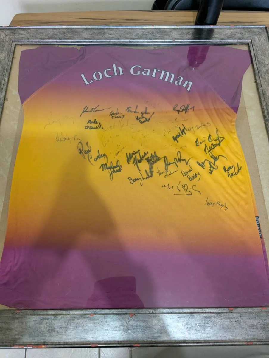 Signed framed 2004leinster champions wexford GAA - Image 2