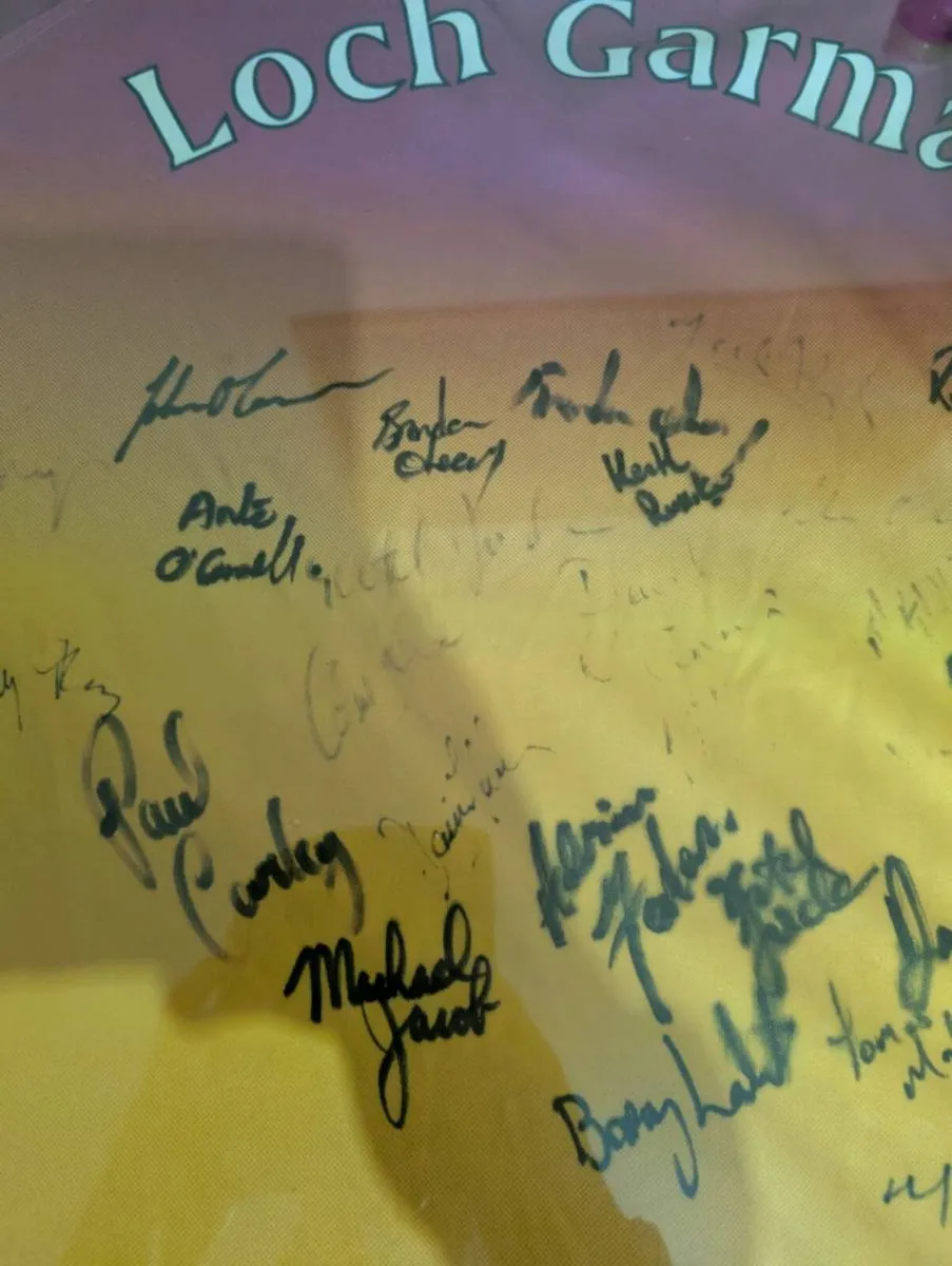 Signed framed 2004leinster champions wexford GAA - Image 4