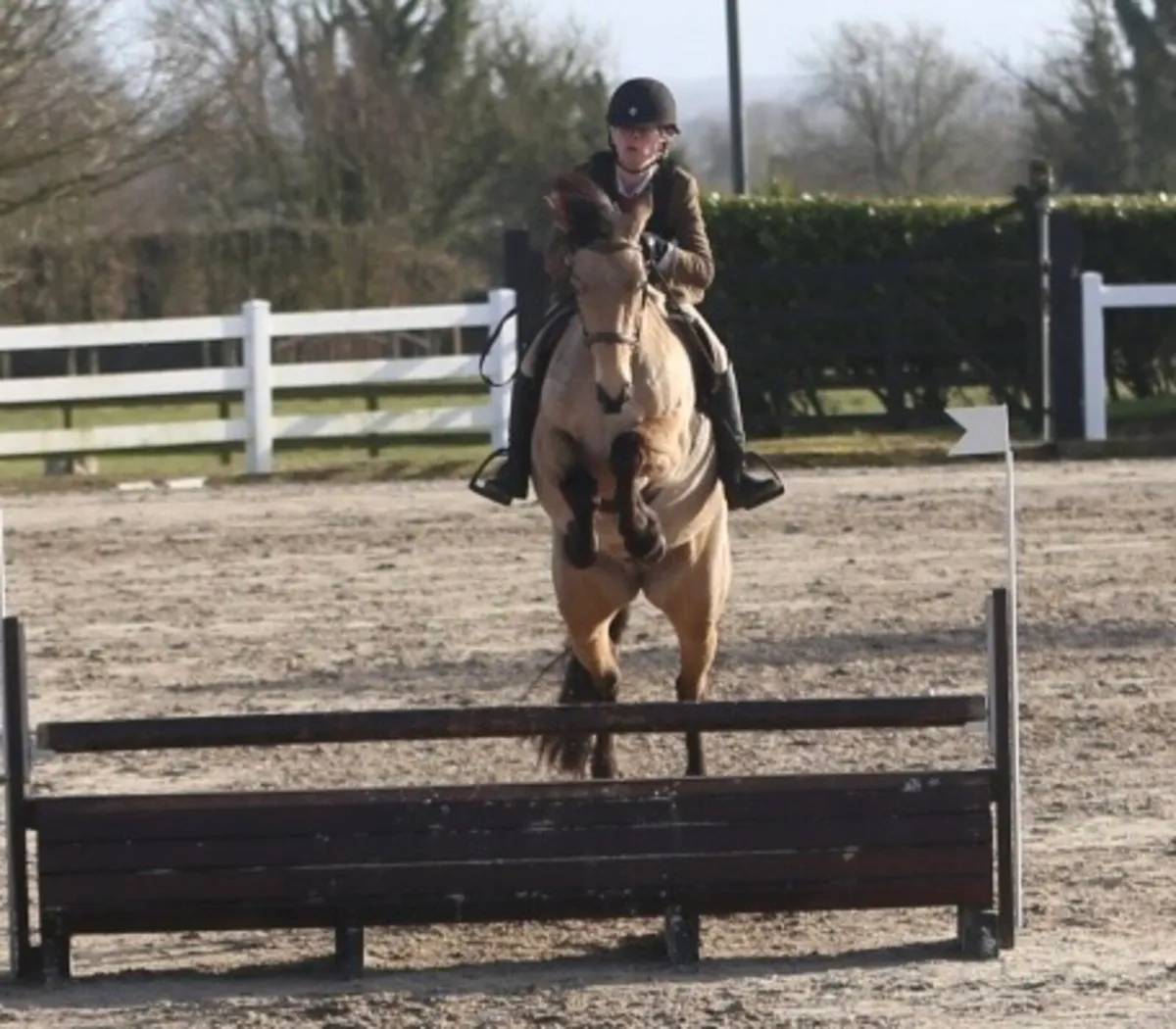 Lot 160 clifden Sunday - Image 1