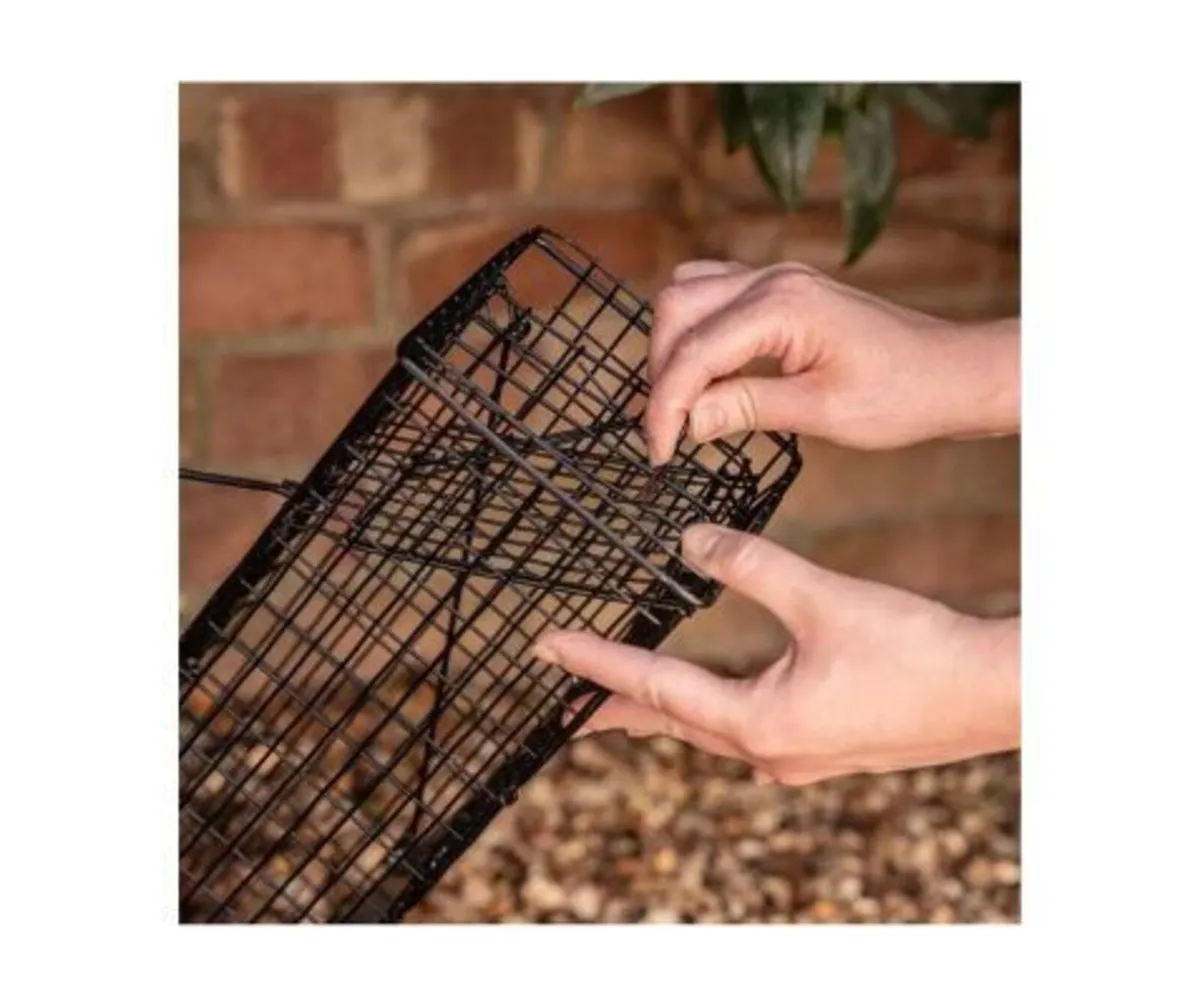 Catch & Release Rat Trap - Image 1
