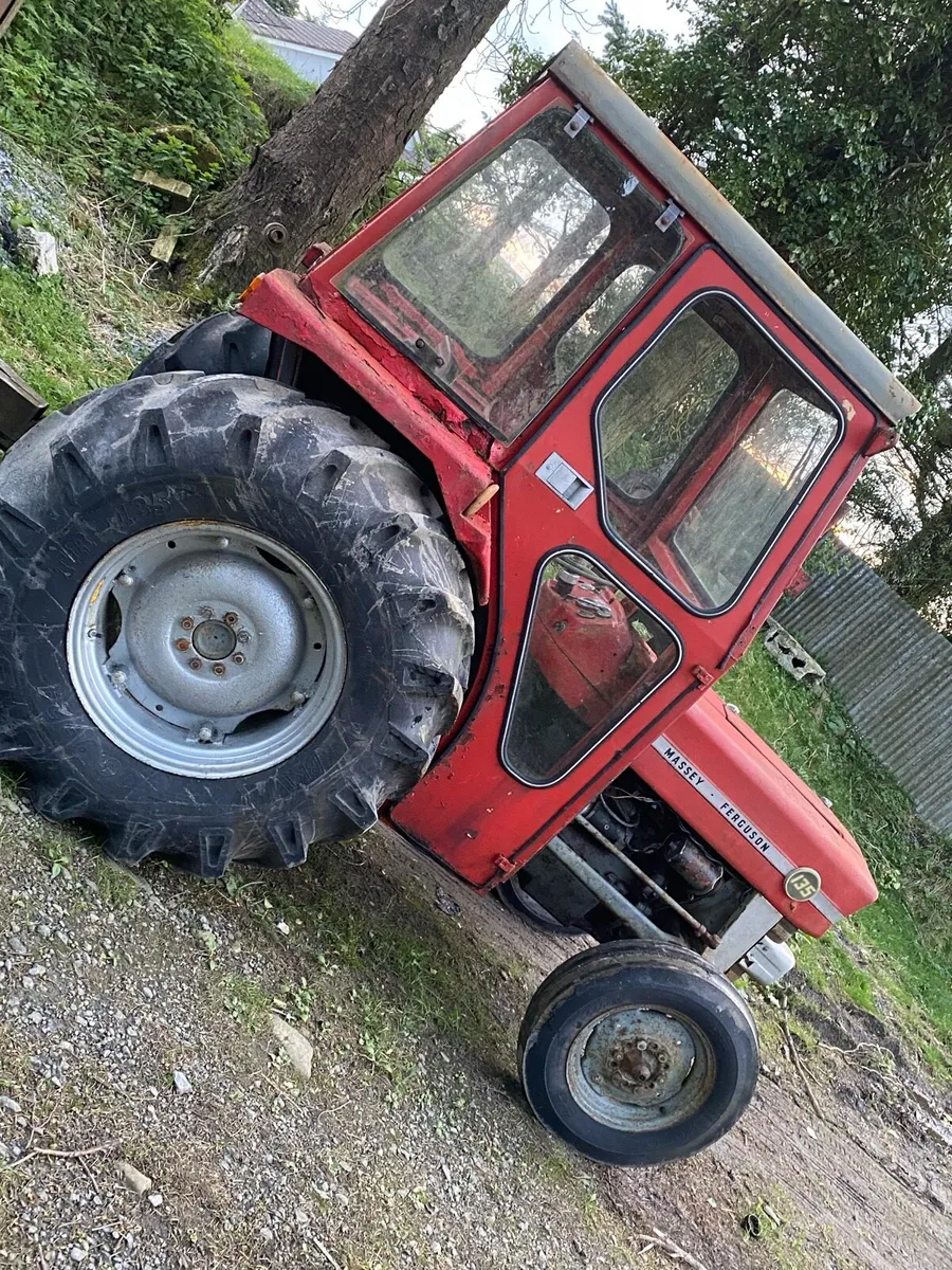 Massey 135 - Image 3