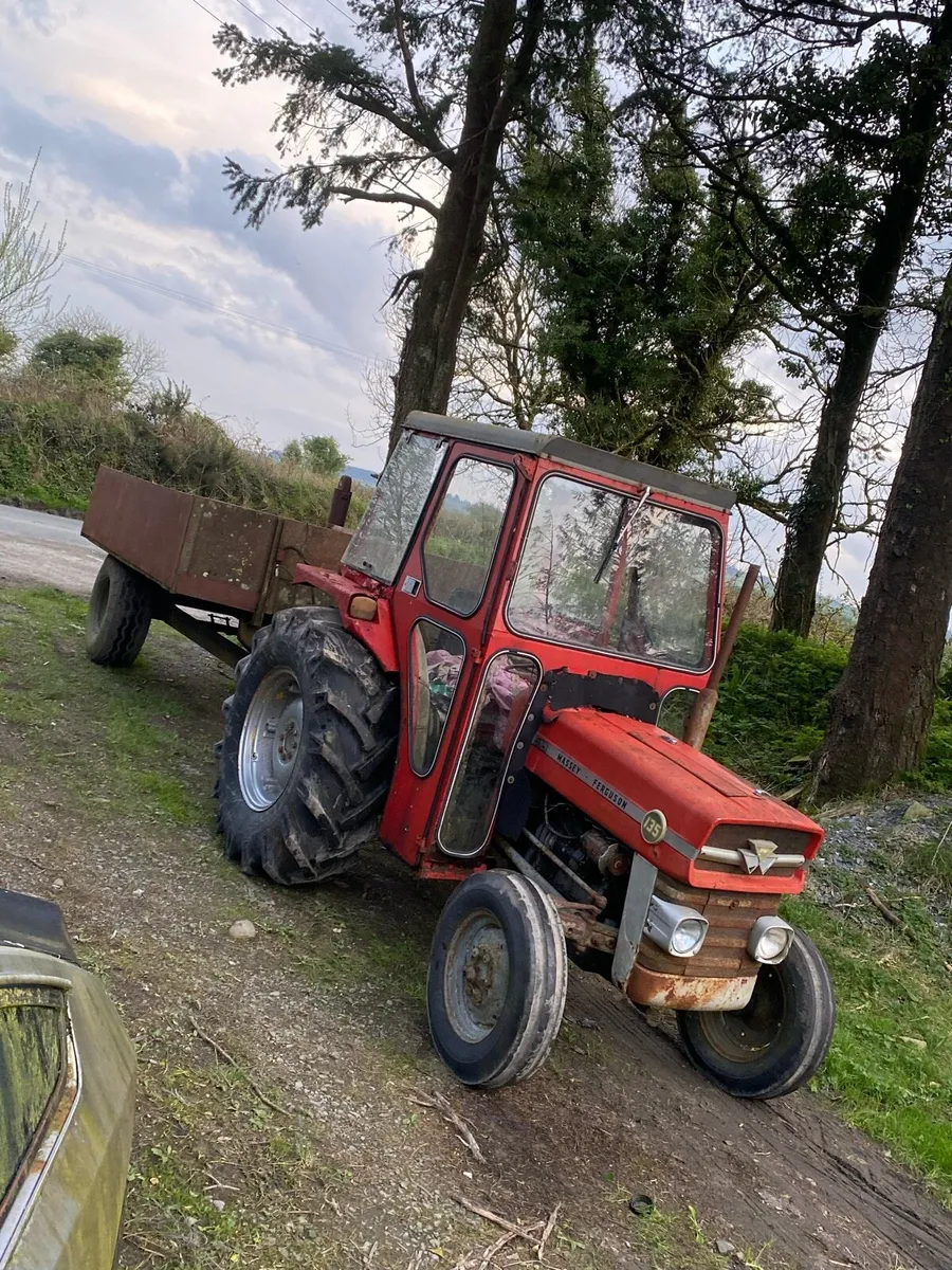 Massey 135 - Image 4