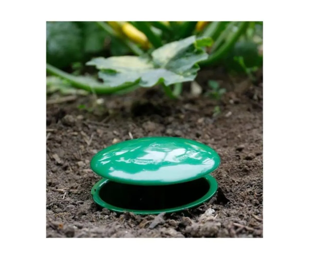 Slug & Snail Trap - Image 3