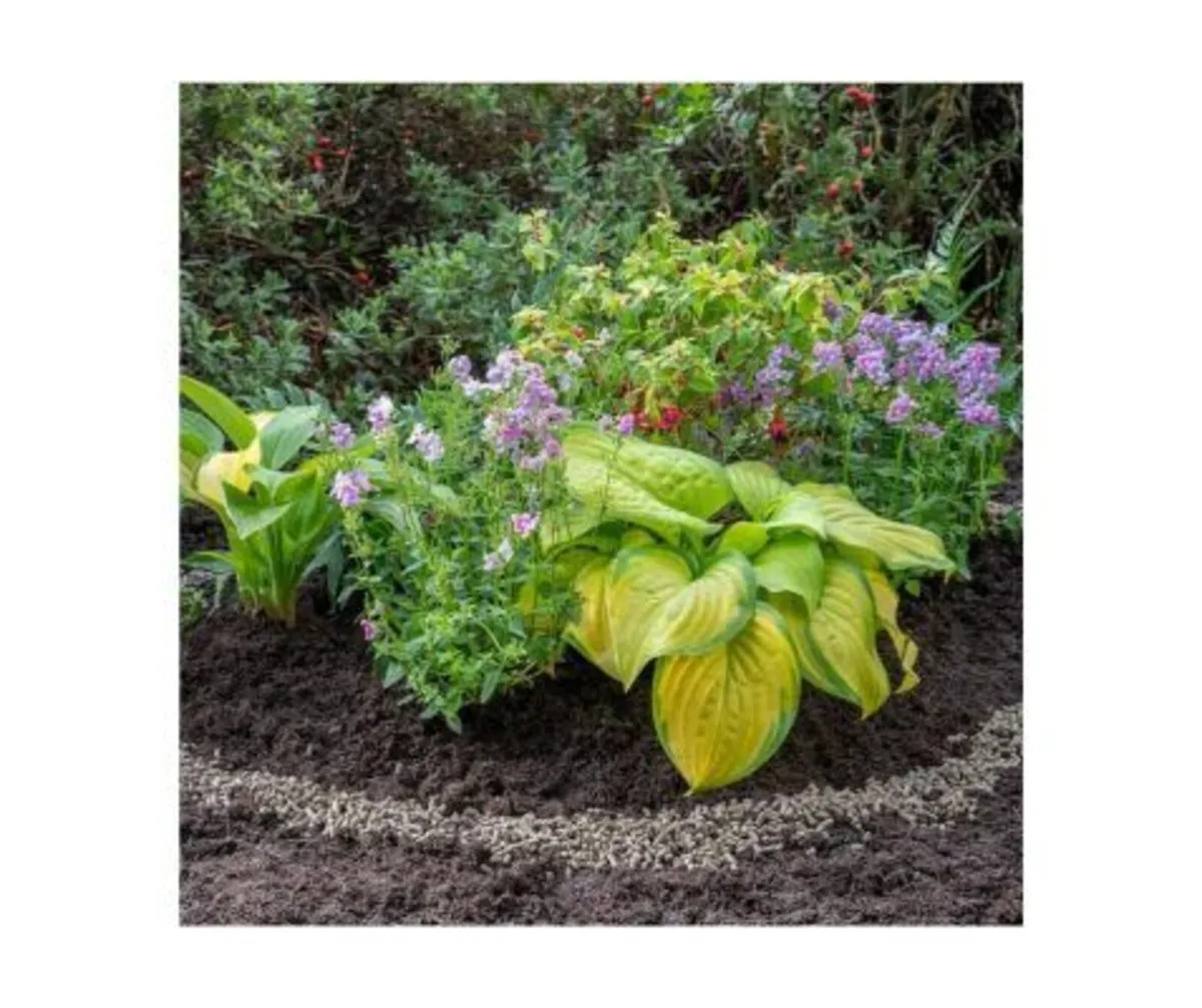 Slug Stop Barrier Pellets - Image 2