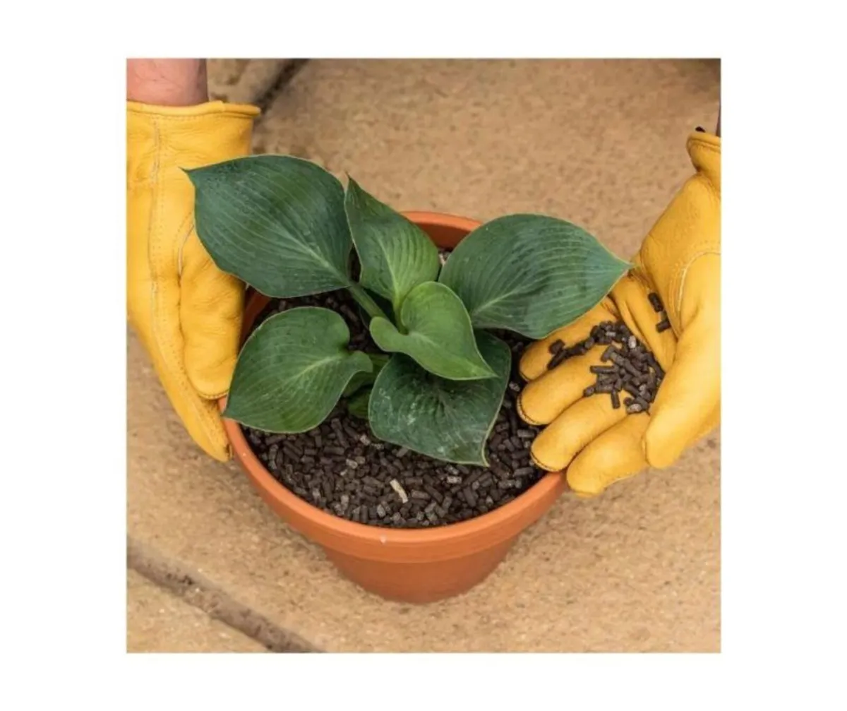 Slug Stop Barrier Pellets - Image 3