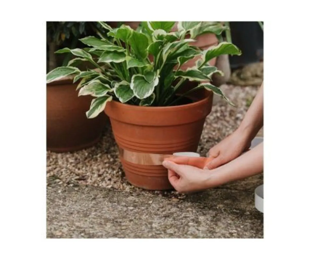 Slug Barrier Copper Tape - Image 1