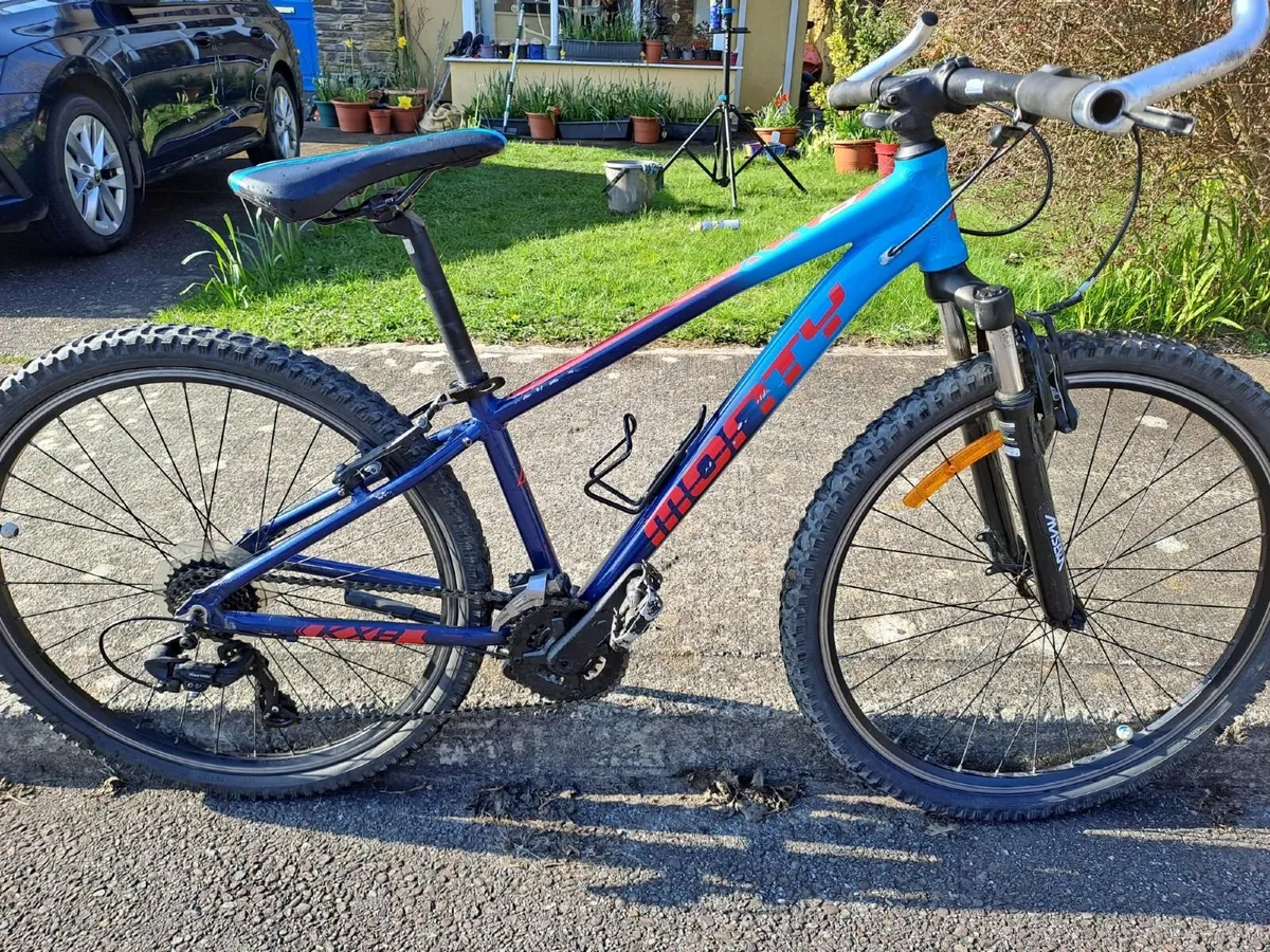 Mountain Bike Kids - Image 1