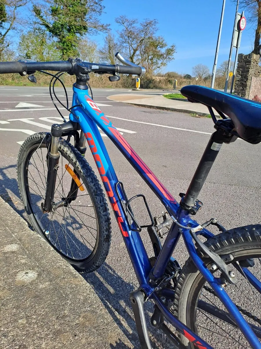 Mountain Bike Kids - Image 3