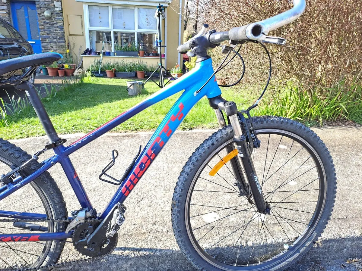 Mountain Bike Kids - Image 4