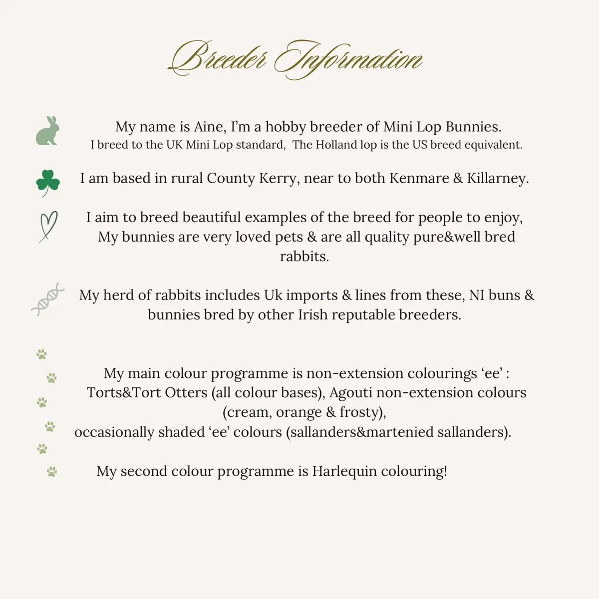 Mini Lop - MoonriverMiniLops - Image 4