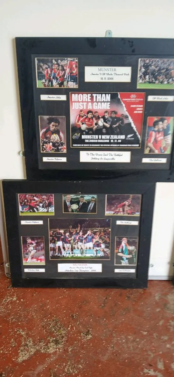 Munster Ruby - Image 2