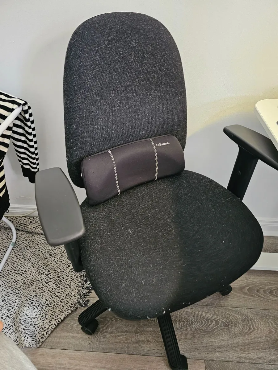 Ergonomic Office chair (FREE Lumbar roll) - Image 1
