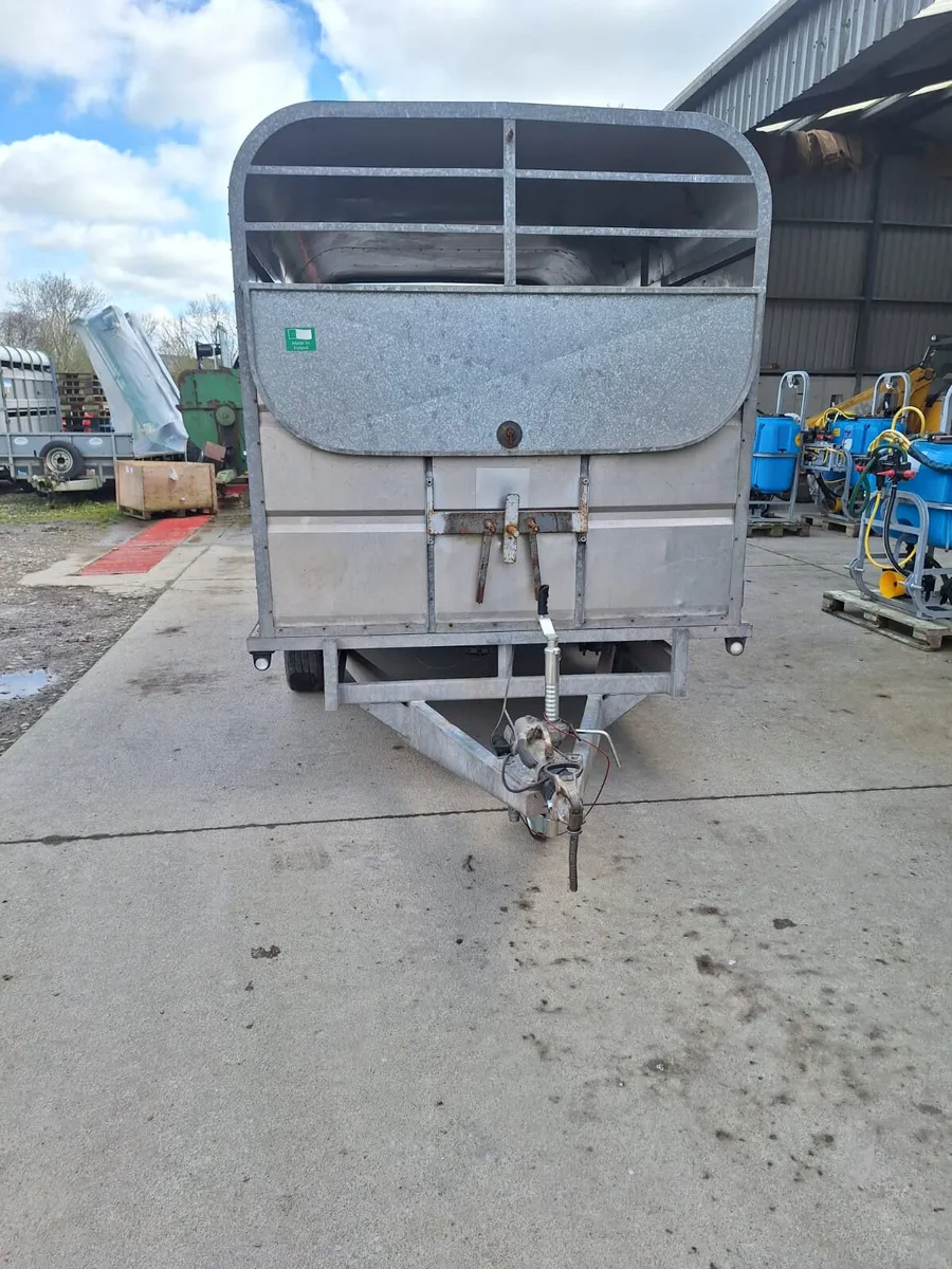 Murphy 12ft x 6ft Cow Box - Image 3