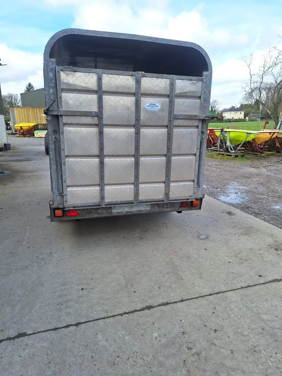 Murphy 12ft x 6ft Cow Box - Image 1