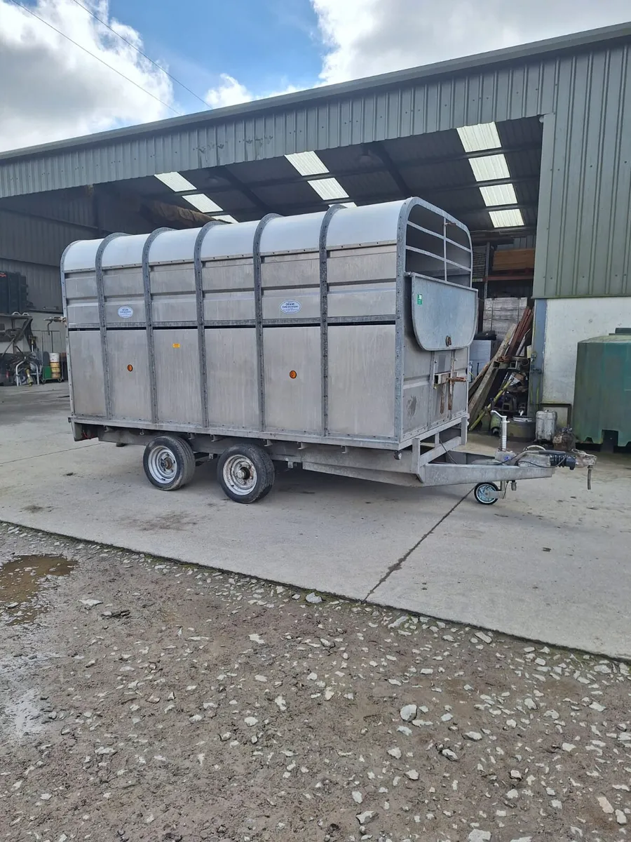 Murphy 12ft x 6ft Cow Box - Image 4