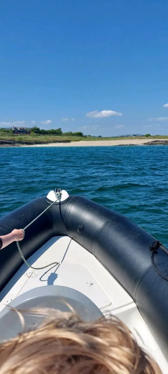 Rib Bombard - Image 2