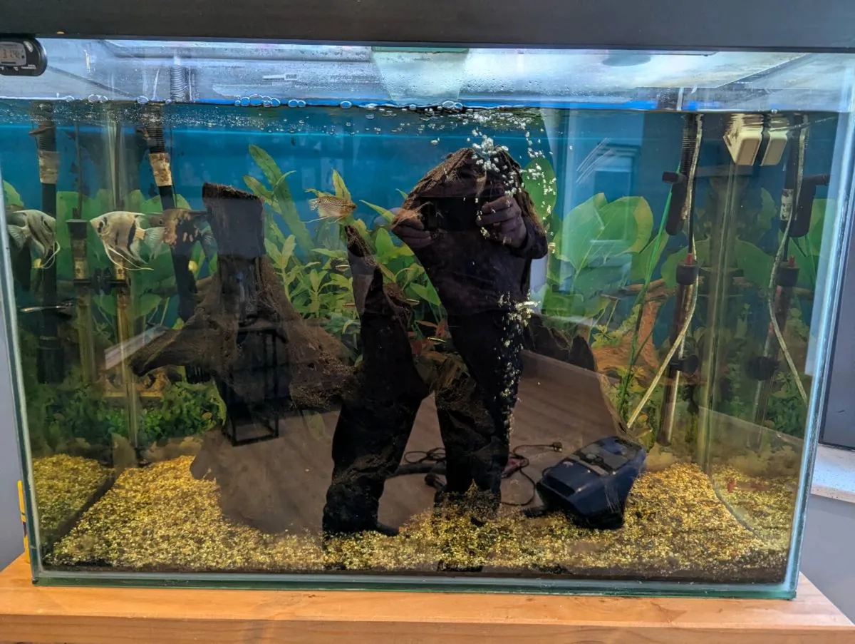Aquarium - complete set up - Image 2