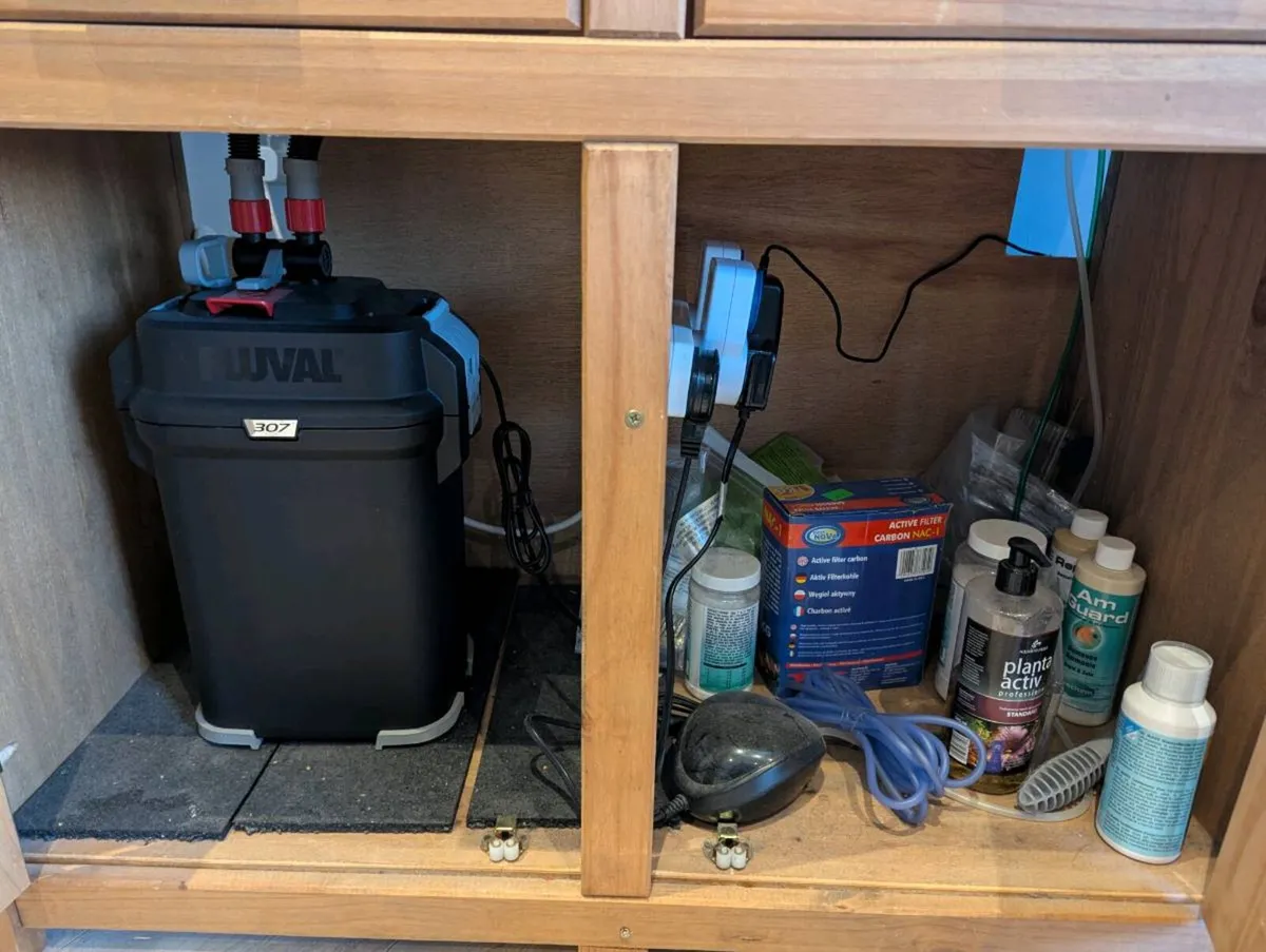 Aquarium - complete set up - Image 4