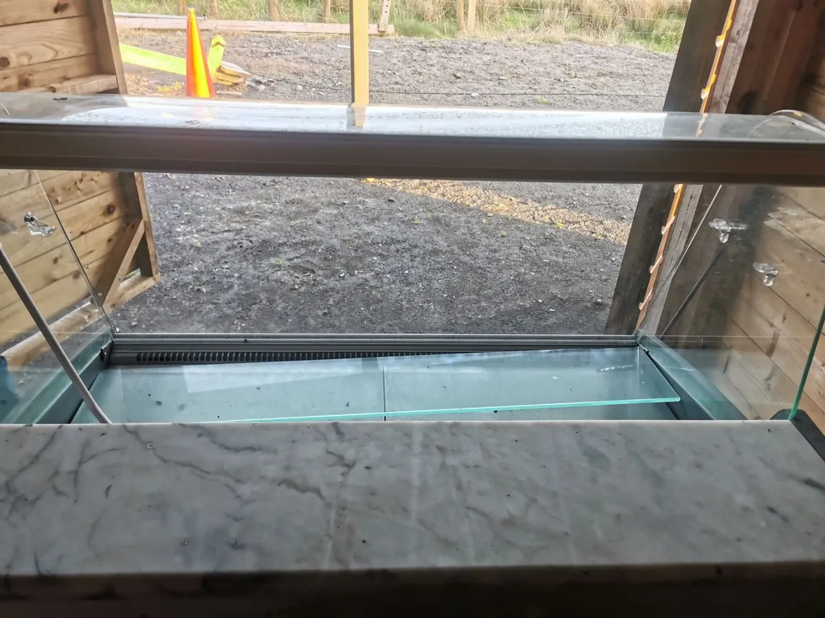 Two Display Fridges - Image 3