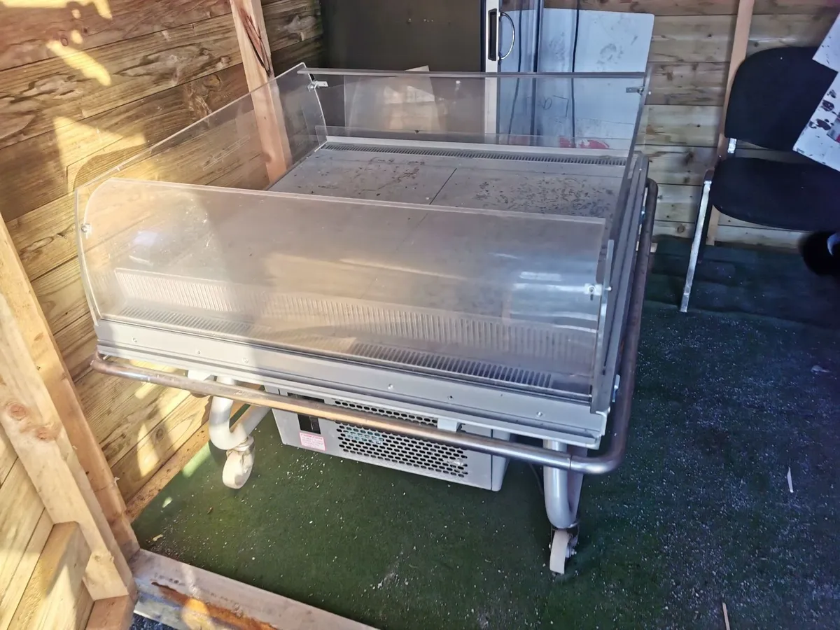 Two Display Fridges - Image 2