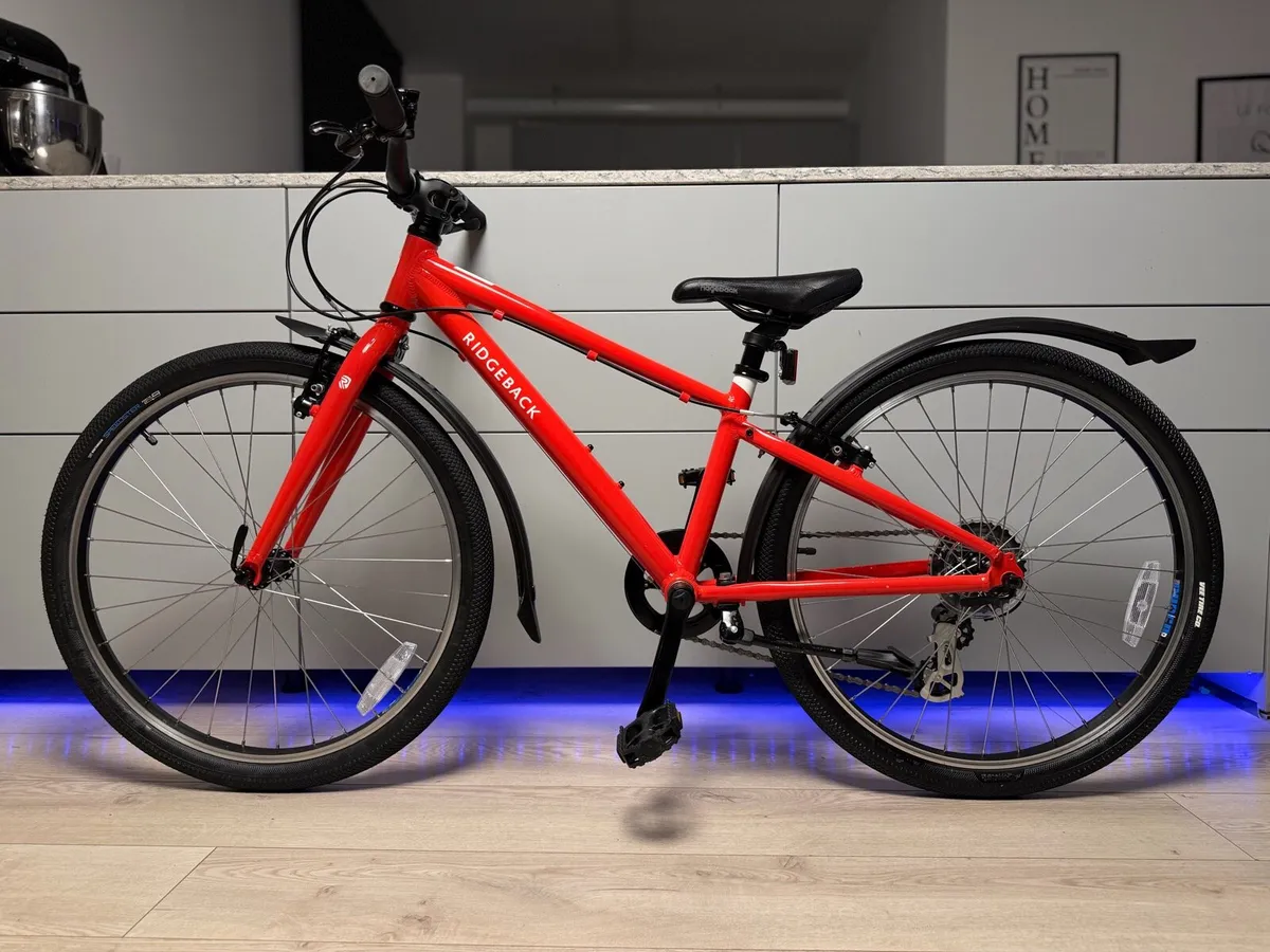 Ridgeback Dimension Junior Bike 24 inch (Like New) - Image 2