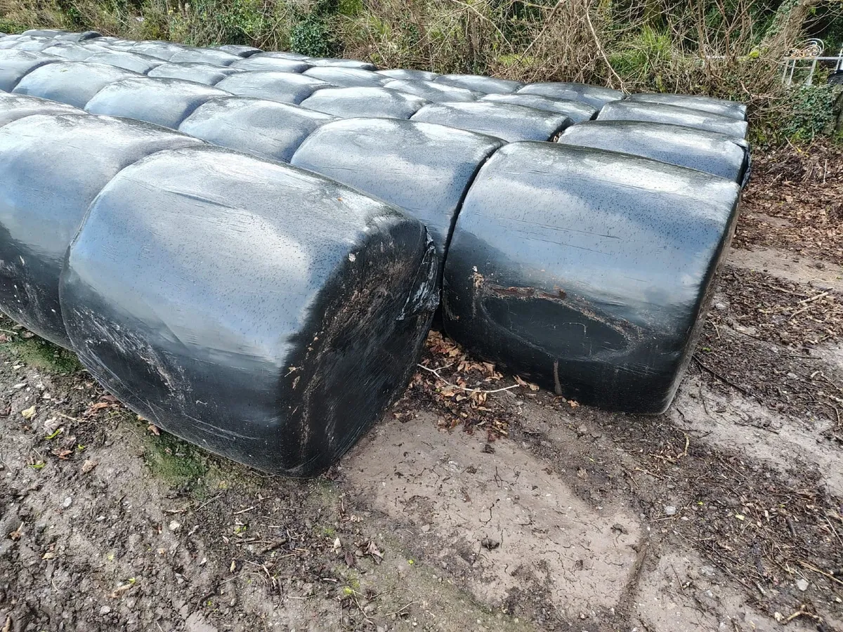 Silage Bales - Image 1