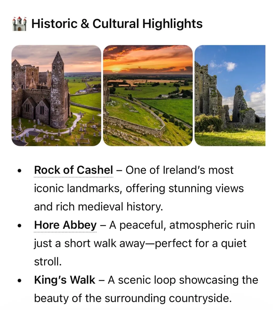 Luxury Stay Overlooking the Rock of Cashel & sauna - Image 4