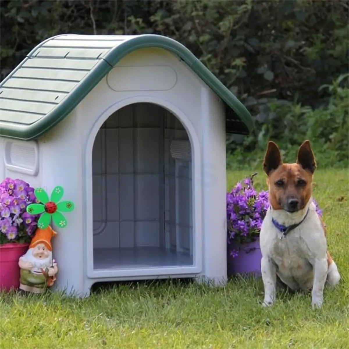 Dog Kennels - Range of Kennels Available - Image 3