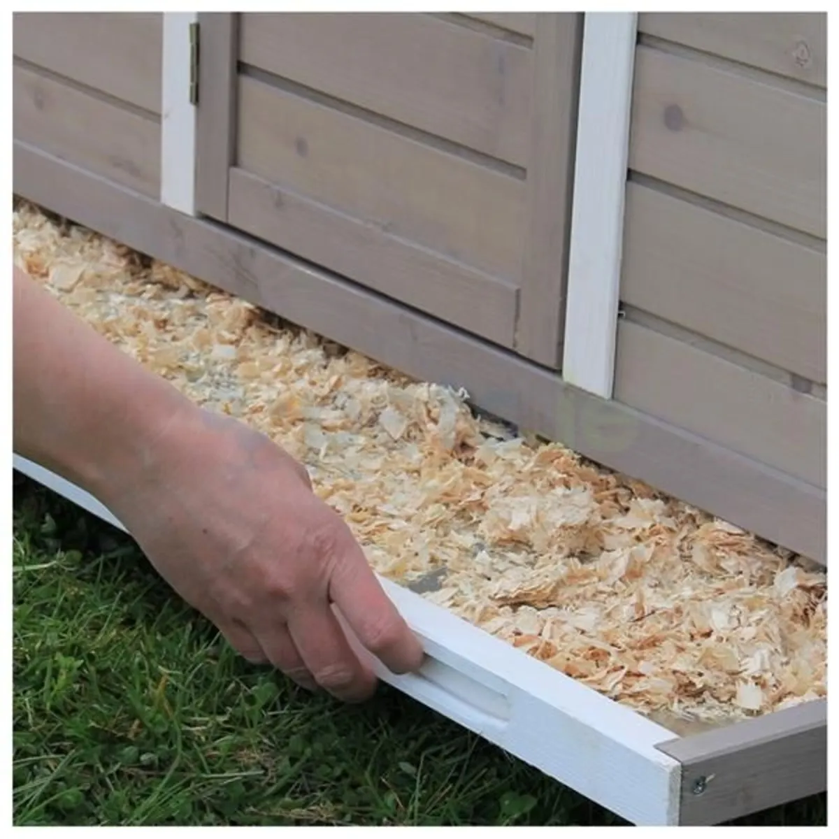 Chicken  Coop - Up to 8 Chickens - Image 4