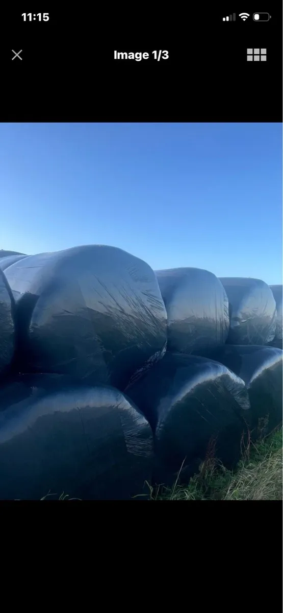 Silage bales