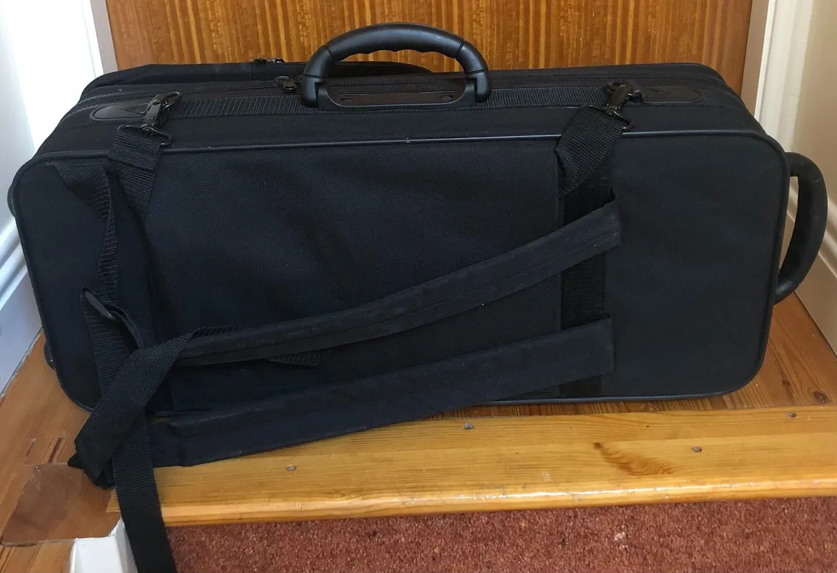 ALTO SAXAPHONE & ACCESSORIES - Image 3