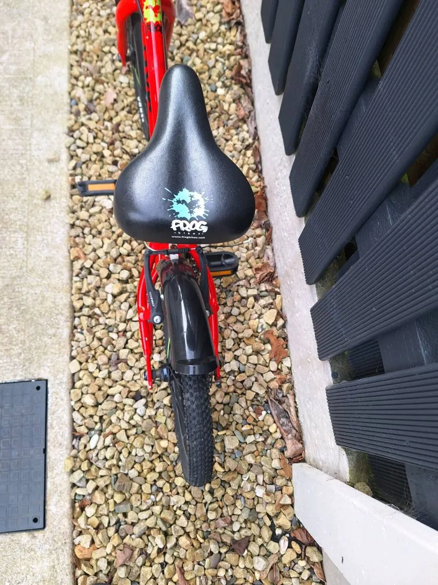 Frog Bike 44 - Image 2