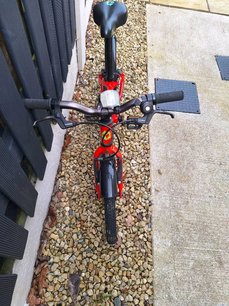 Frog Bike 44 - Image 3