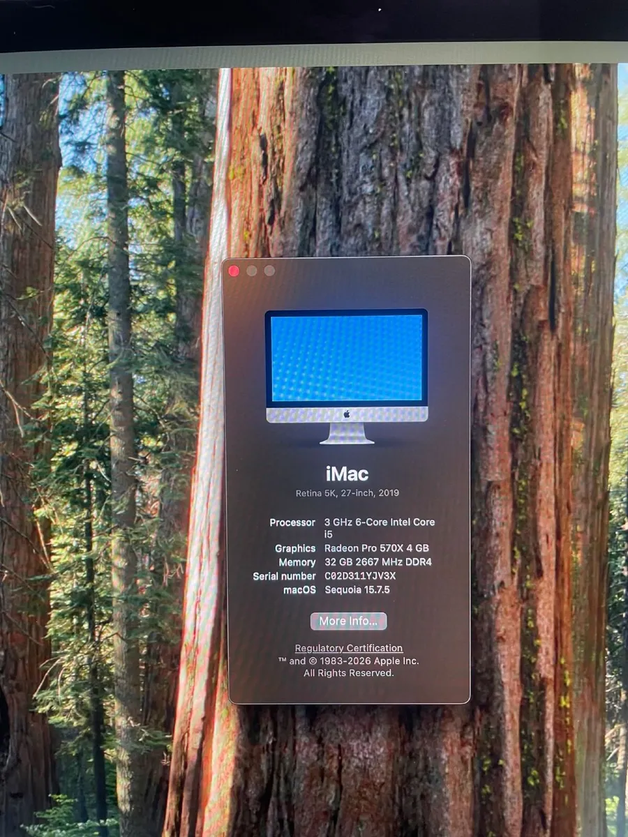 Apple iMac 5K 27" | 2019 - Image 3