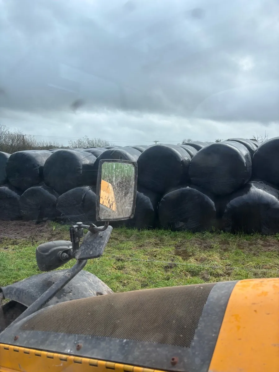 Silage bales - Image 3