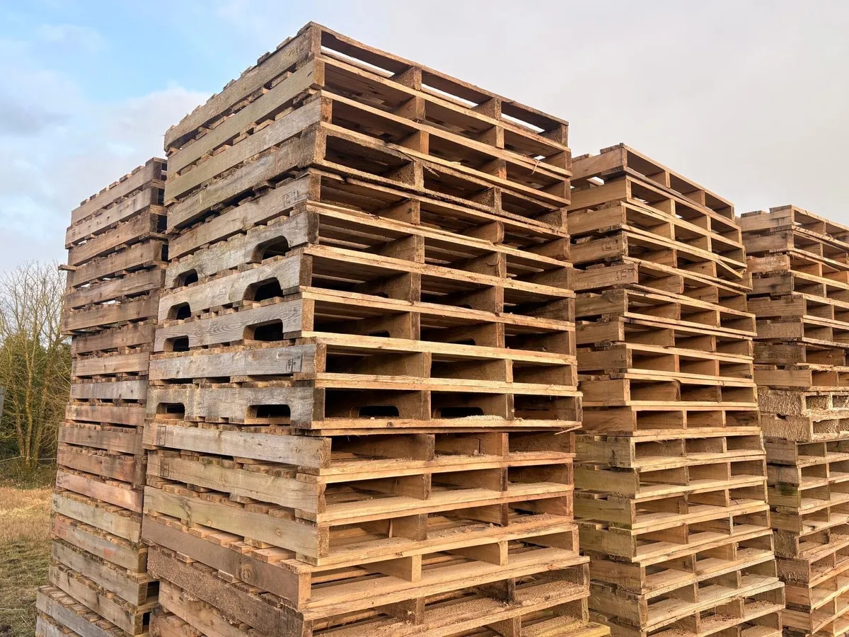 Pallets - Image 2