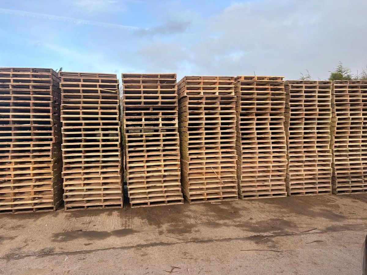 Pallets - Image 1