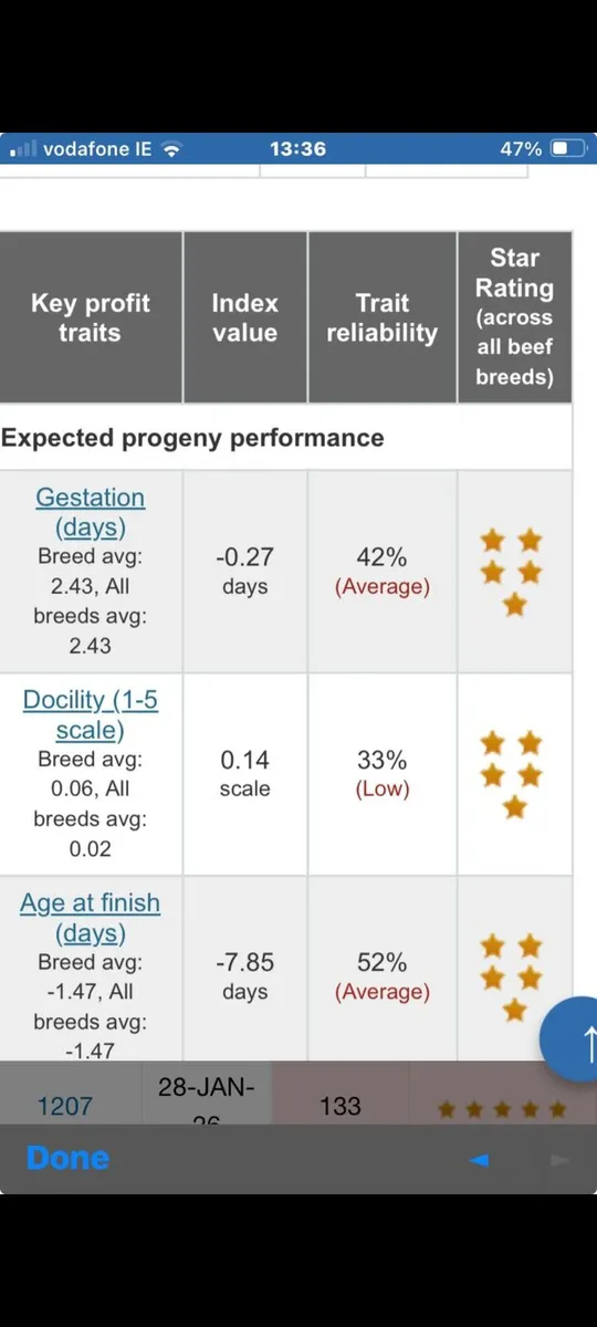 Suckler cow with heifer calf - Image 3