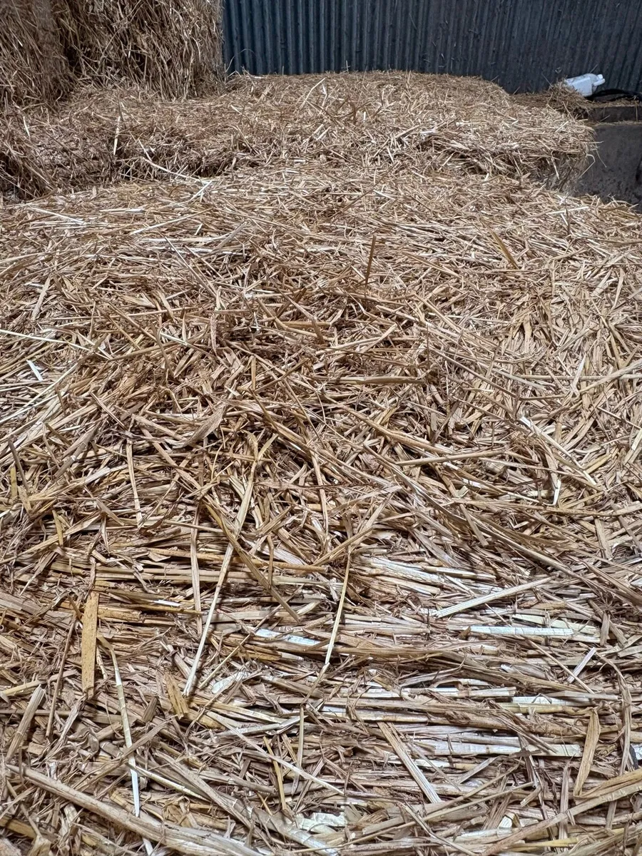 Spring Barley Straw - Image 2