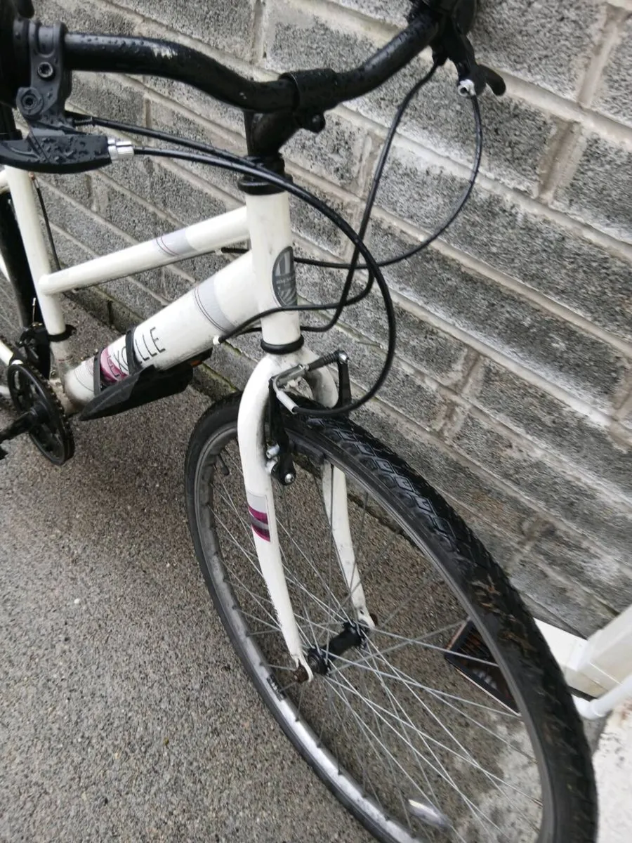 ADULTS LADYS BIKE - Image 3