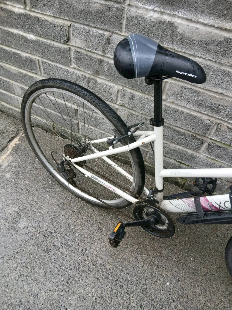 ADULTS LADYS BIKE - Image 4