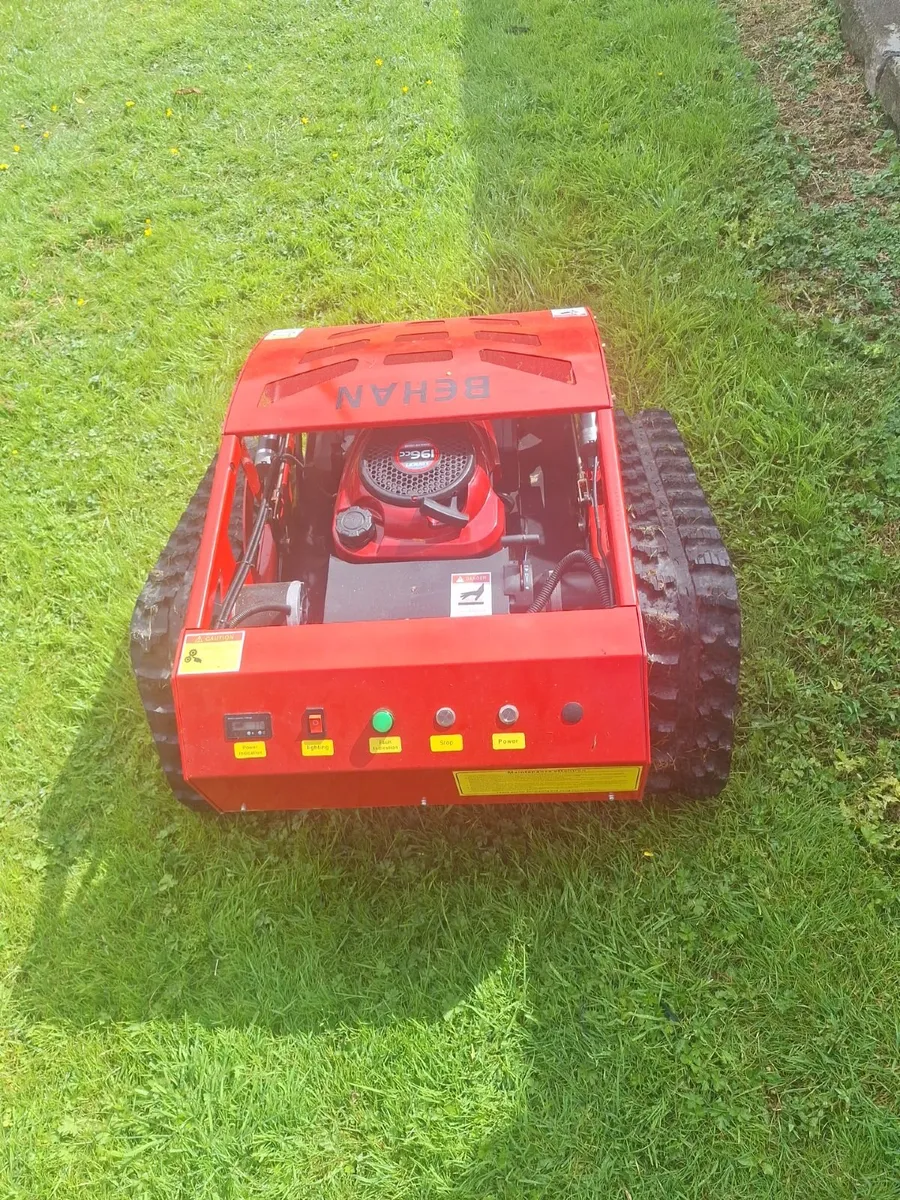 Lawn Mower Tracked - Image 3