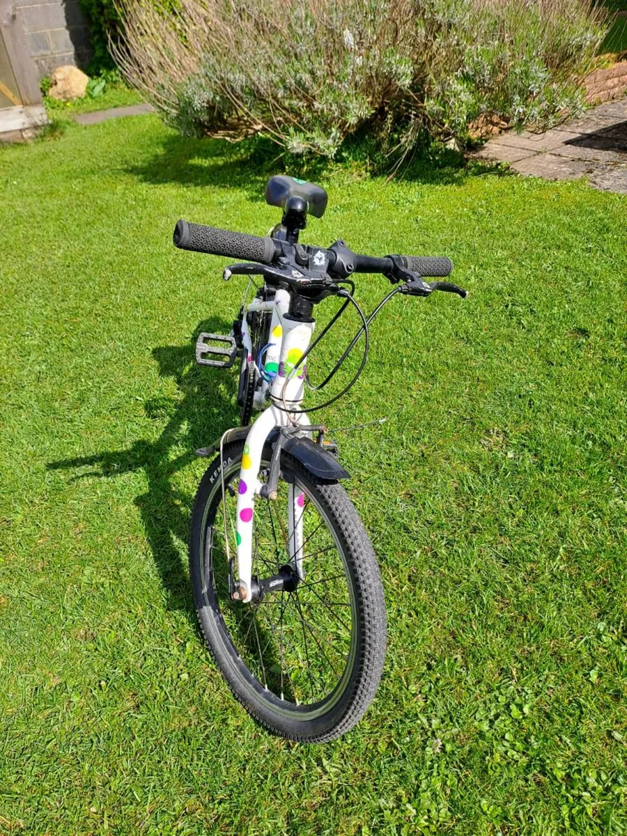 Kid's Frog Bike - White, 20 inch - Image 4