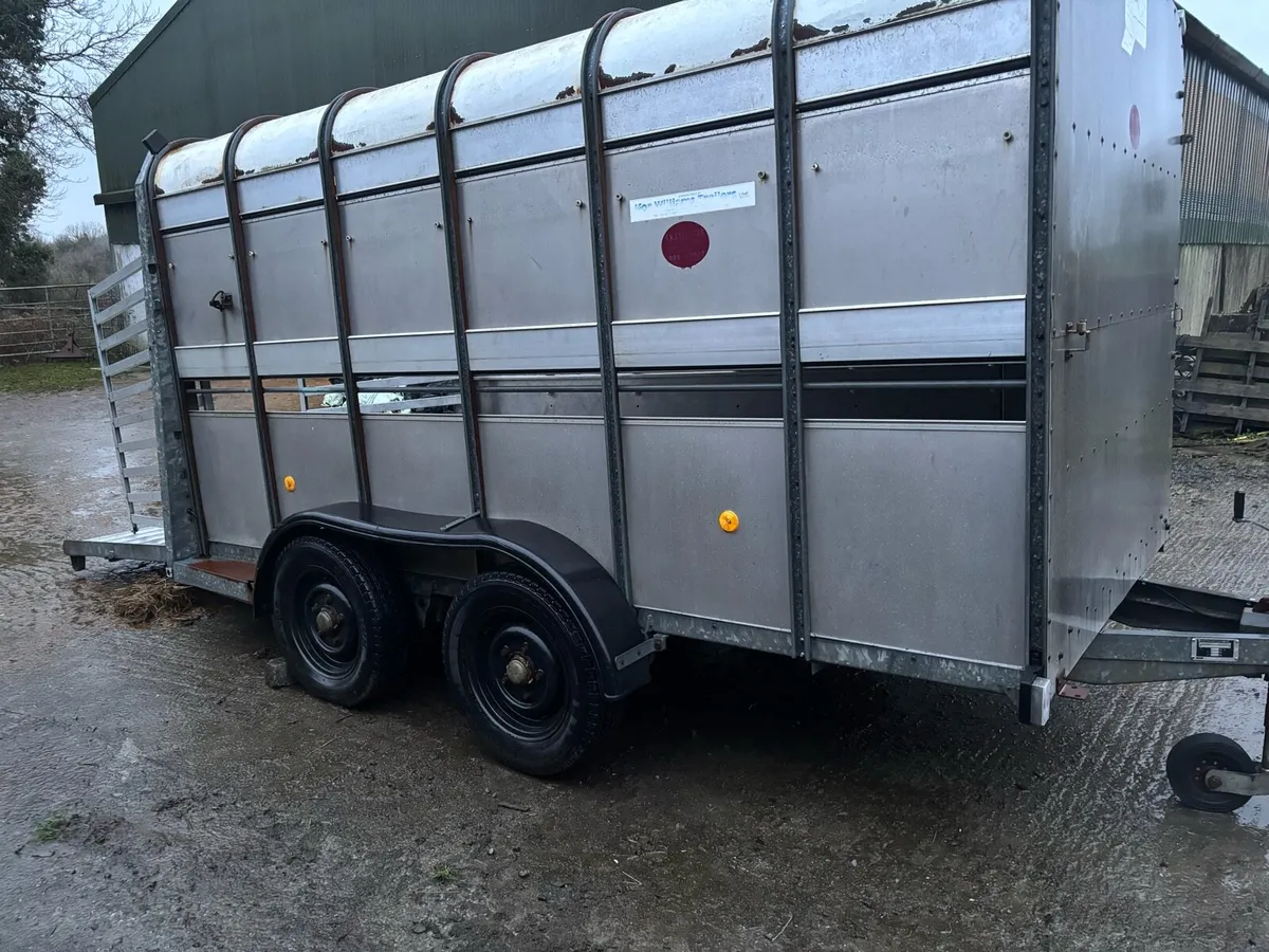 IFor Williams Cattle Trailer - Image 1