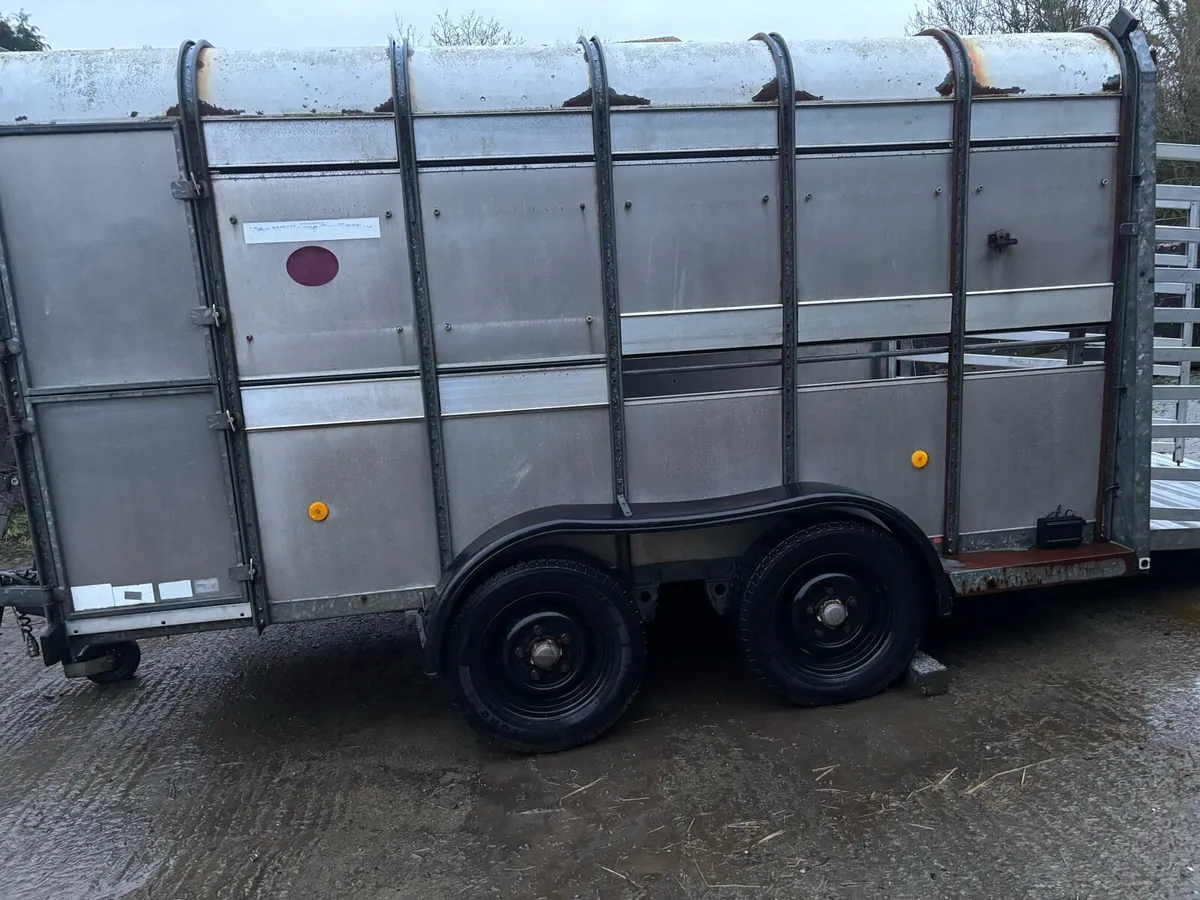 IFor Williams Cattle Trailer - Image 2