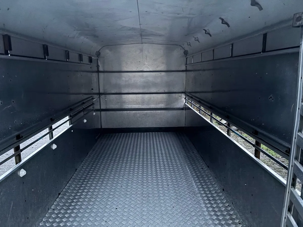 IFor Williams Cattle Trailer - Image 3