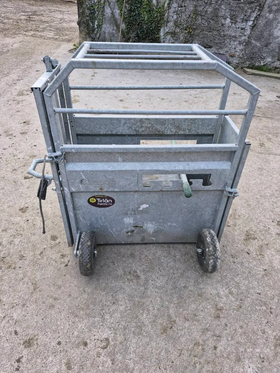 Dehorning crate - Image 1
