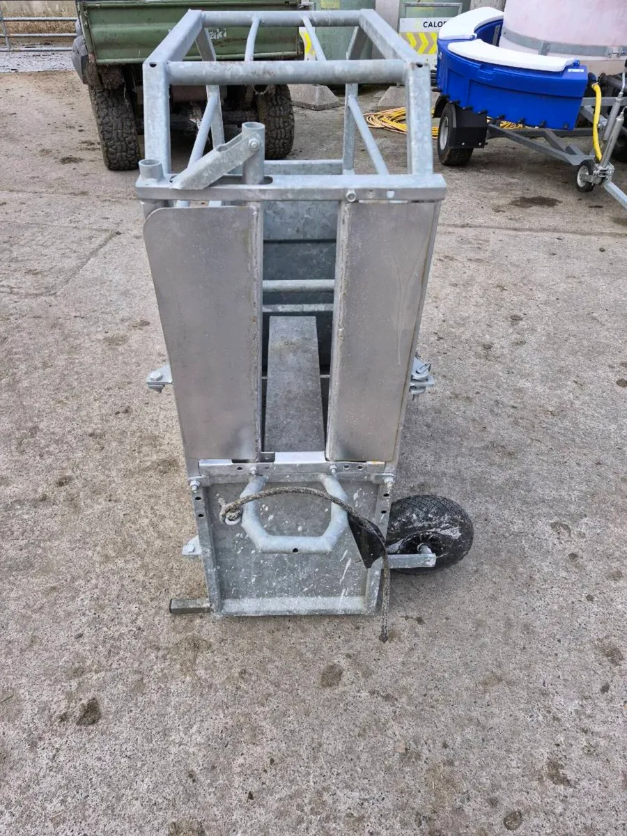 Dehorning crate - Image 2